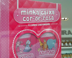 MINHA CAIXA COR-DE-ROSA - BOX C/ 6 V